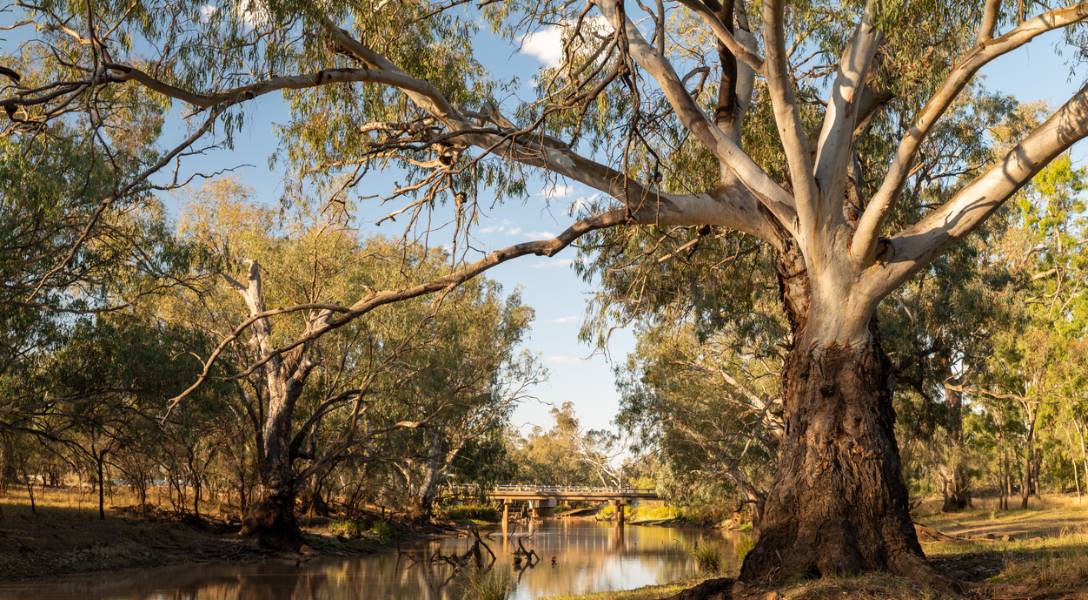 Murray Park Estate Stage 9 View
